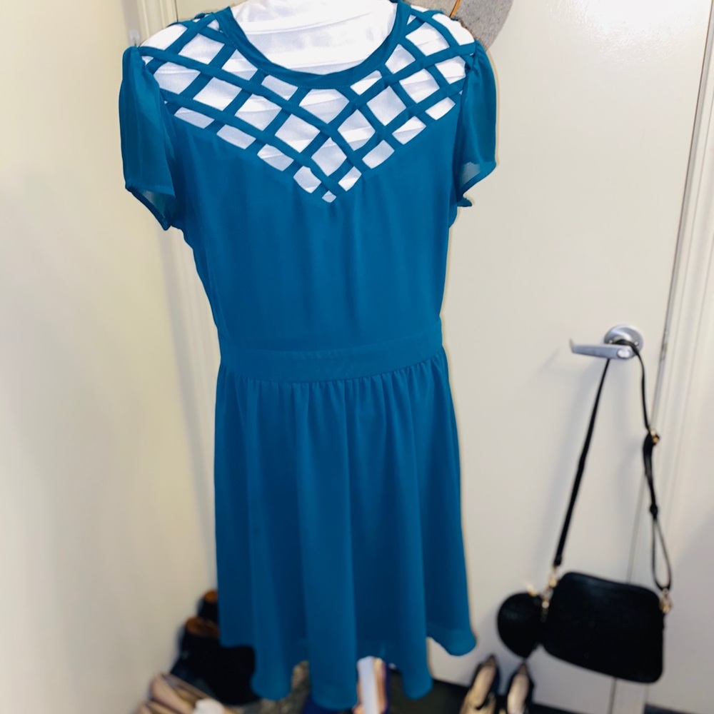 🌷Almost Spring! Petite Swing Dress